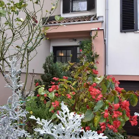 Einfache 2-zimmer-wohnung In Meeresnaehe * Umag
